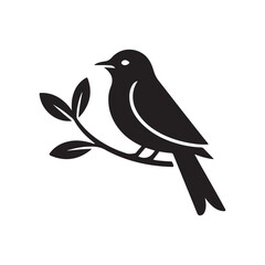 Black and White Songbird Illustration