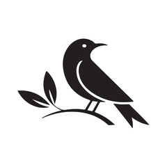 Black and White Songbird Illustration