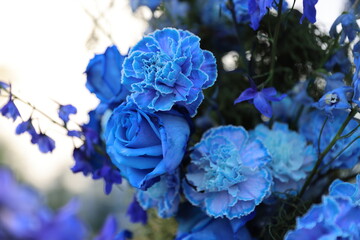 bouquet of blue flowers