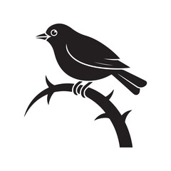 vector illustration of a bird