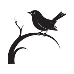 bird on a branch