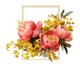Floral arrangement with peonies and mimosa digital bright isolated on transparent background