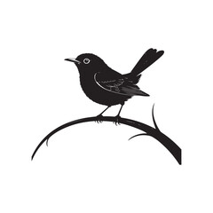 blackbird on a branch