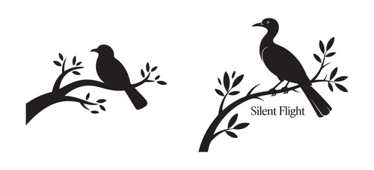 Obraz premium Blackbird Perched on Branch Isolated on White