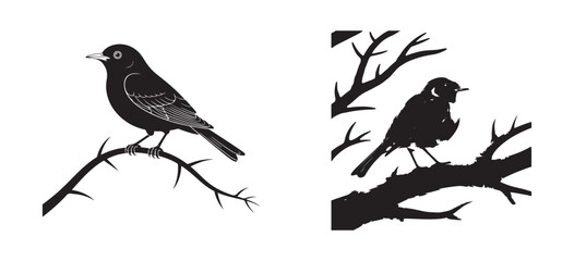 Silhouette of Bird Sitting on Branch