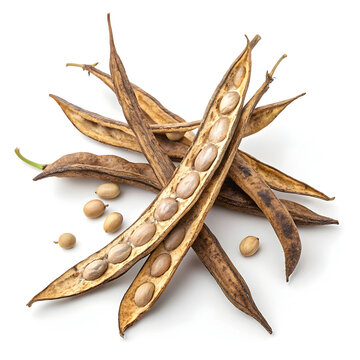 Dried cluster beans, dehydrated vegetable pods isolated on white background, commonly used in cooking,