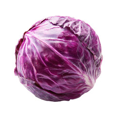 Obraz premium Deep crimson red cabbage head, full frame