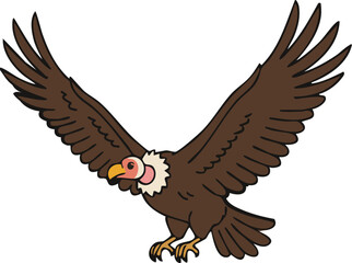 Soaring vulture with broad wings and bald head