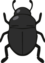 Shiny black beetle with oval body and strong legs