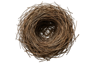 Close-up of an empty bird's nest formed from natural twigs and straw on a black background Keywords: bird nest, nature, wildlife isolated on a transparent background