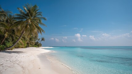 Fototapeta premium Serene tropical beach panorama featuring turquoise water and white sand