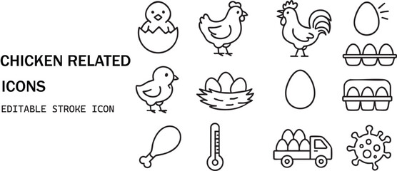 Collection of chicken and egg icons for farm and food themes isolated on white background