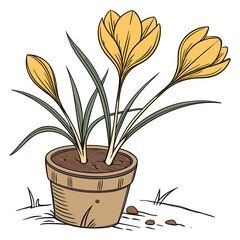 Illustration of three yellow crocuses blooming in a terracotta pot with green leaves and stems, set against a