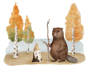 Hand drawn watercolor illustration of a beaver in aspen trees with a aspen tree stamp, isolated on a transparent background © Niksberry_Art