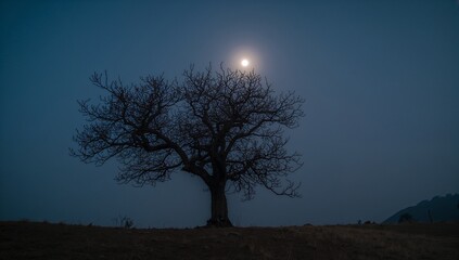 A solitary tree stands silhouetted against a tranquil, moonlit sky at dawn, bathed in soft, muted tones.