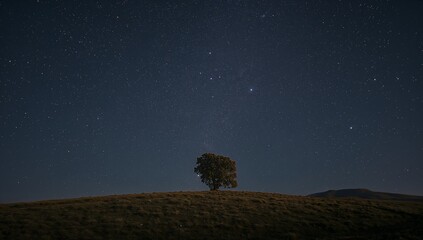 A solitary tree stands sentinel against a night sky ablaze with countless stars, evoking a sense of peaceful solitude and vastness.