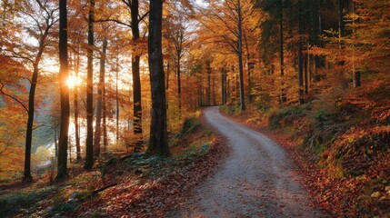 Obraz premium Sunlight filters through tall trees as vibrant autumn leaves blanket the ground along a winding path. The tranquil atmosphere invites a peaceful stroll by a serene lake.