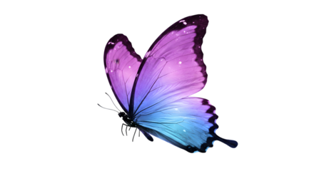 Beautiful Purple-Blue Butterfly on White Background — Vibrant Colored Monarch/Morpho-Style Insect Portrait