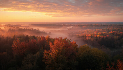 針葉樹のシルエットが霧の層で柔らかく溶ける朝、ミニマルな配色で紙面と相性の良いクリーンな背景.生成AI