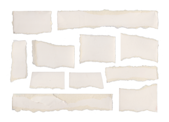 Collection of torn blank paper pieces arranged in artistic layout
