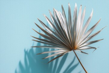 Naklejka premium Single palm leaf with detailed veins casting shadow on pastel mint background in soft light