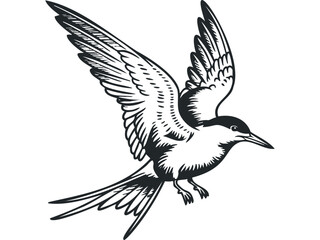 Fototapeta premium Stylized outline of a bird in mid-flight. Vector hand drawn illustration
