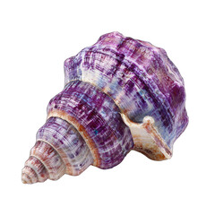 Fototapeta premium Close-up of a vibrant purple and white seashell, spiraled, intricate patterns