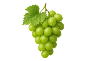 Obraz premium Green grapes bunch with leaves and water drops, fresh healthy fruit, transparent background for easy use