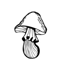 Vector illustration of a magic mushroom for witch's potions. Hand-drawn black and white graphic illustration for cards, notepads, stickers, and crafts.