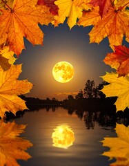 autumn leaves of the moon