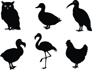 Silhouettes of different birds including owl, duck, flamingo, chicken, dodo, ibis, wildlife animal vector illustration, nature design isolated background
