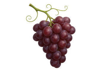Fototapeta premium Bunch of red grapes with tendrils, showing fresh fruit for healthy eating and natural nutrition, transparent background