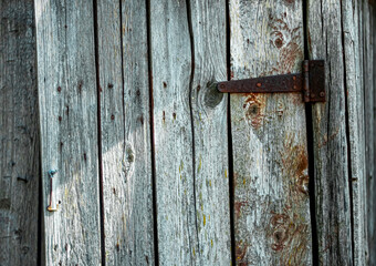 Fragment of an old wooden door with wood texture.