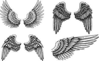 Detailed angel wings vector illustration set, hand drawn feather design, fantasy artwork, decorative tattoo, mystical symbol, spiritual graphic art