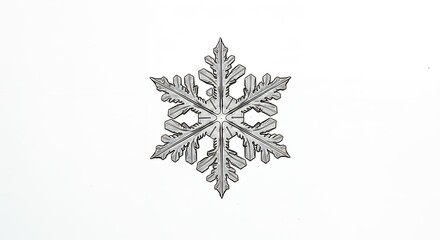 Detailed snowflake illustration