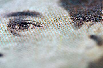 Extreme Close-up of Eye on Banknote with Detailed Textures and Patterns