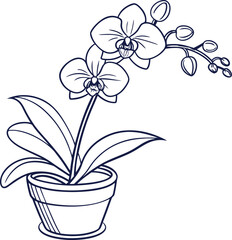 Elegant orchid in pot line art icon minimal design.