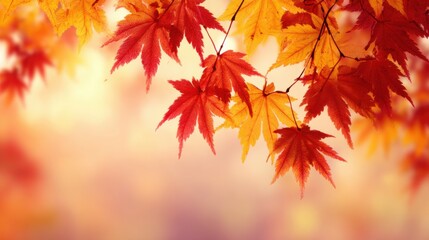 Colorful maple leaves in shades of red and orange hang delicately against a soft background, highlighting the beauty of nature in autumn. The scene radiates warmth and tranquility.