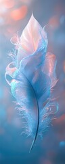 Delicate Blue Feather with Soft Bokeh Background