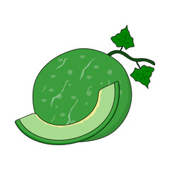 Melon fruit vector illustration