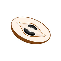 Sapodilla fruit slice illustration