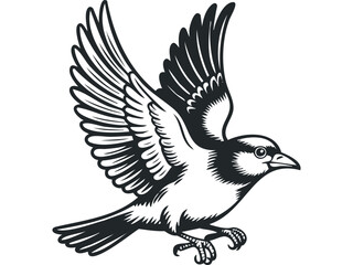 Obraz premium Bold black and white graphic of a small bird mid-flight with wings spread wide. Vector hand drawn illustration