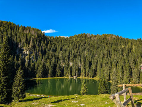 Lake Jezero na Planini pri Jezeru, a glacial lake located at an altitude of 1453 m, surrounded by a dark spruce forest in the Triglav National Park in part of the Julian Alps in Slovenia