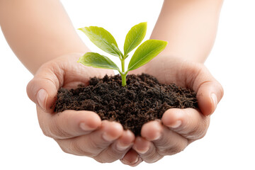 Person holding soil and seedling depicting growth nature and environmental protection transparent