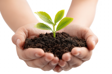 Person holding soil and seedling depicting growth nature and environmental protection transparent