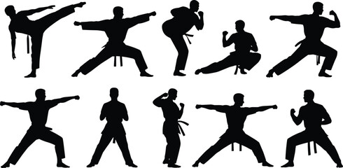 Karate silhouette collection, martial arts poses, black belt fighters, kicking, punching, self defense stance, training, combat moves, isolated vector.