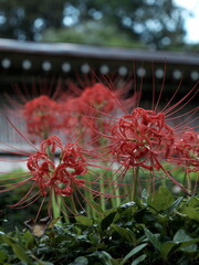 I wish I knew what's pulling you.