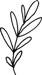 Botanical hand-drawing element