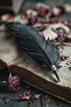 black crow feather tied with silver thread resting on open antique book with dried herbs and petals scattered gothic halloween vintage decor mystical still life concept