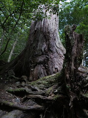 I wish I knew what's pulling you.